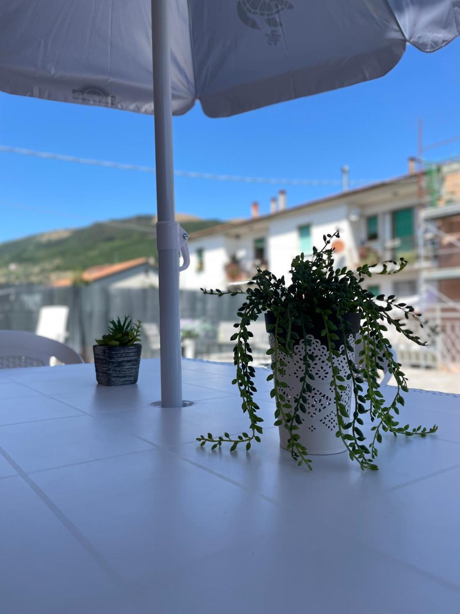 Appartamento La Signora Dei Fiori Gubbio Esterno foto